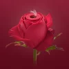 Tracys_Dog_Rosie_Portable_Rose_Clit_Sucker_02
