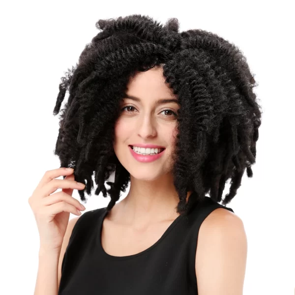 Doll_Wig_Short_Curly_Black_Braided_Afro_Wig_16_Inch_01