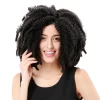 Doll_Wig_Short_Curly_Black_Braided_Afro_Wig_16_Inch_03