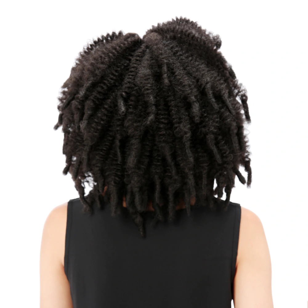 Doll_Wig_Short_Curly_Black_Braided_Afro_Wig_16_Inch_04