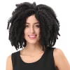 Doll_Wig_Short_Curly_Black_Braided_Afro_Wig_16_Inch_05