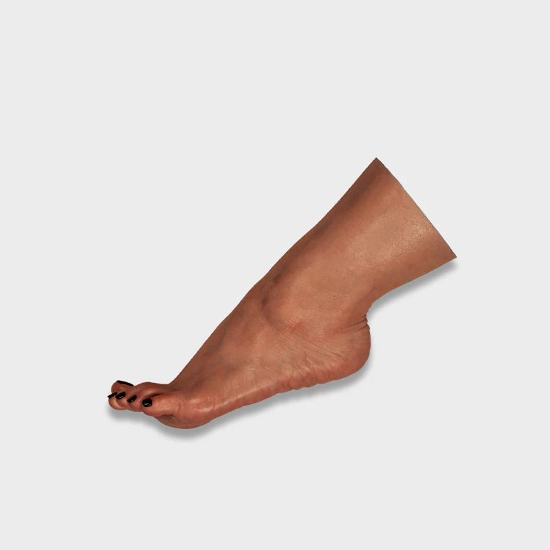 Not_ye_S701_Lifesize_Single_Foot_Toy_Brown