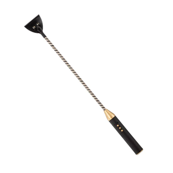 Roomfun_Electric_Shock_Training_Whip_ZW_019_01