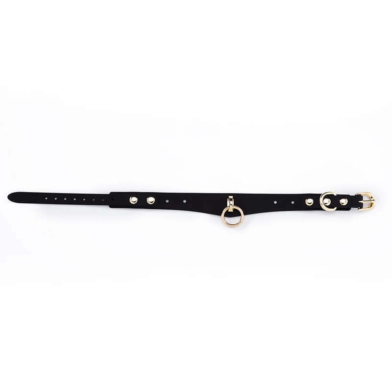 Roomplay_Silicone_Collar_With_Leash_ZW_090_05