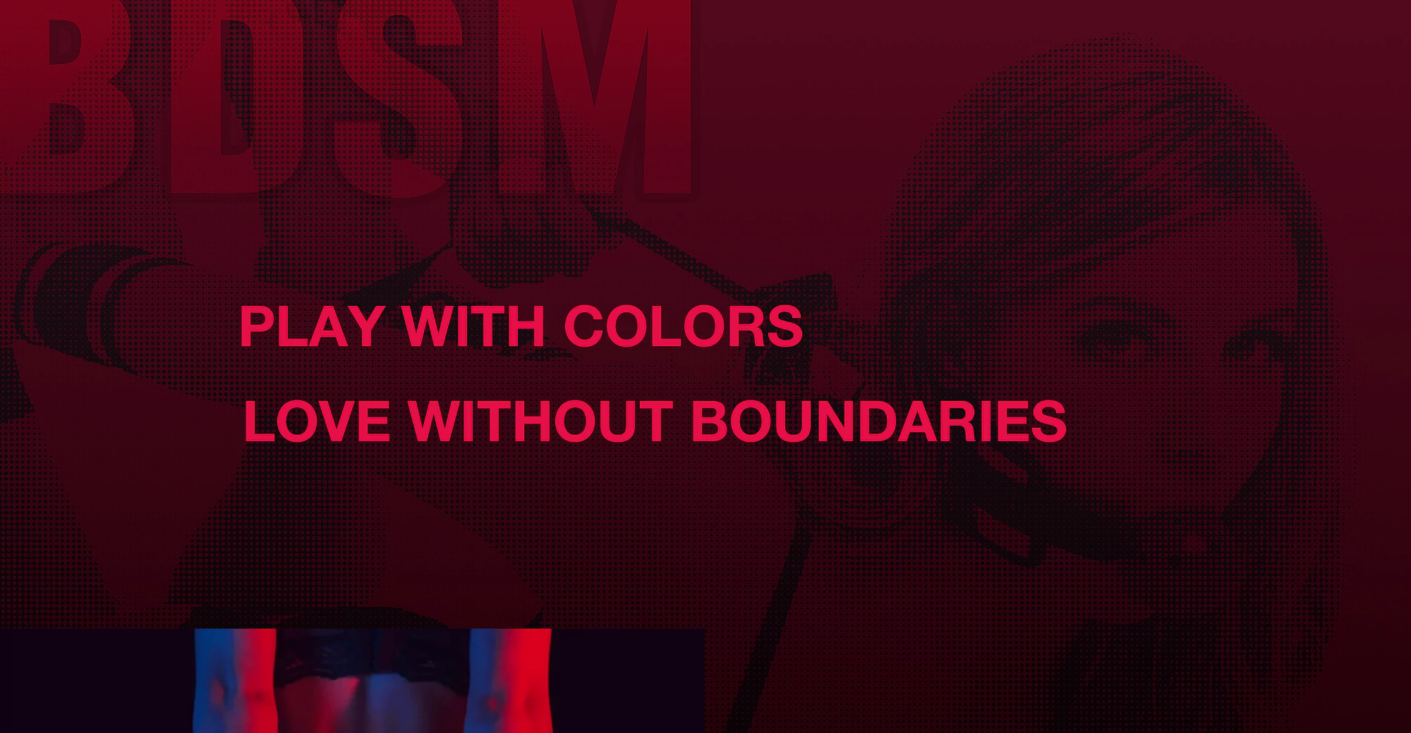 Roomfun, Roomfun BDSM Toys, 房趣, ShesDoll is an Officially Authorized Roomfun Dealer