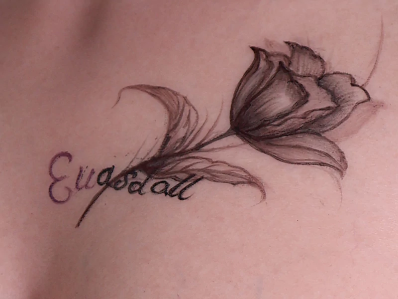 Product Innovative of Evas Doll